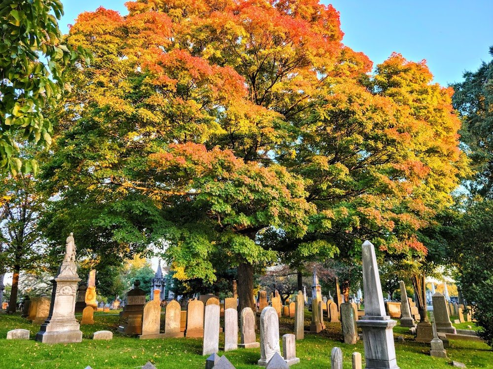 Transformers: Revenge of the Fallen : Cemetery scene between Sam and Optimus Prime