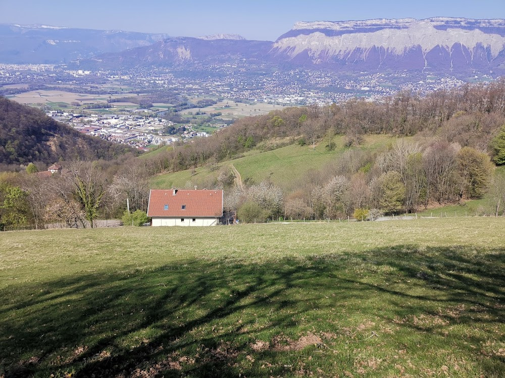 Le hussard sur le toit : final scene