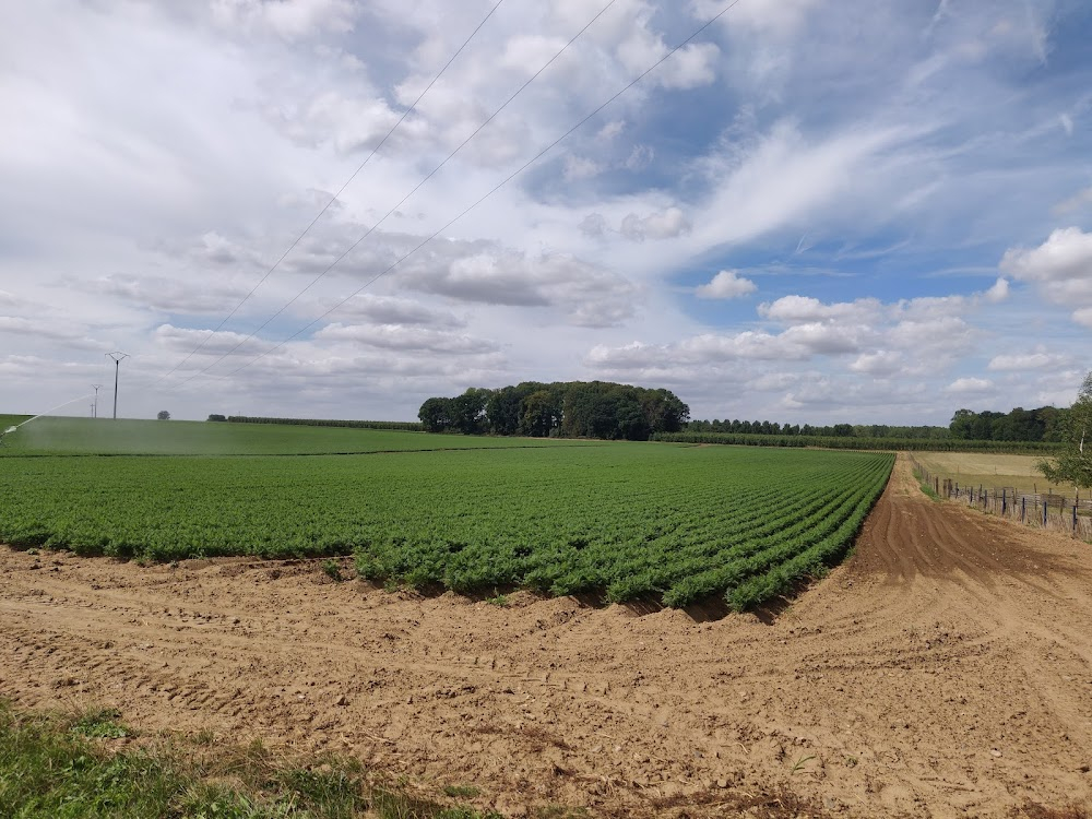 Le jeune Ahmed : farm