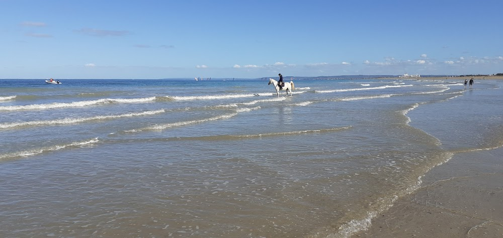 Le Mort de la plage : 