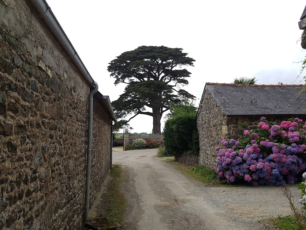 Le mystère Henri Pick : Rouche pushing bike uphill