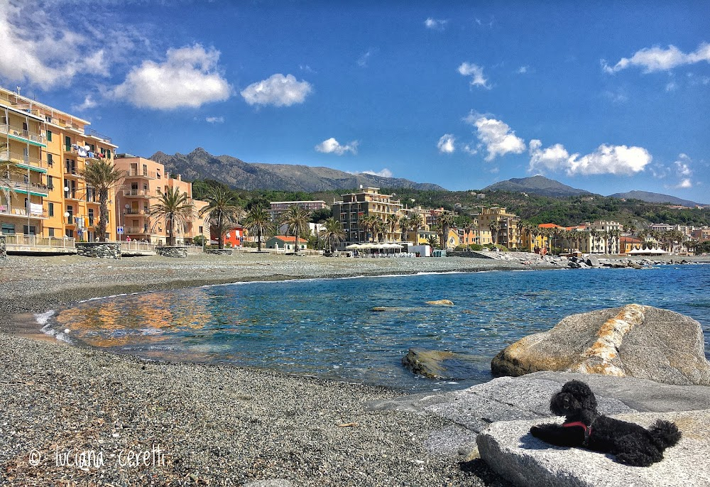 Le petit prince a dit : Adam and Violette find dog on seaside, at Lerone river mouth