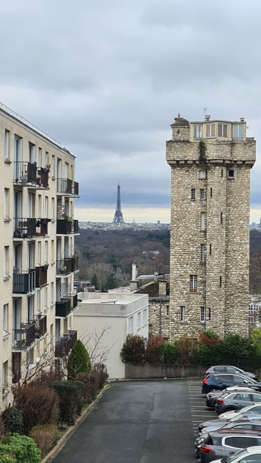 Les âmes câlines : 