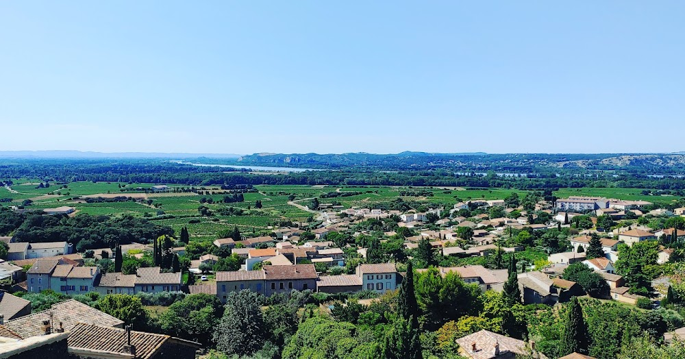 Le Redoutable : press conference to announce the premiere of La Chinoise at Avignon