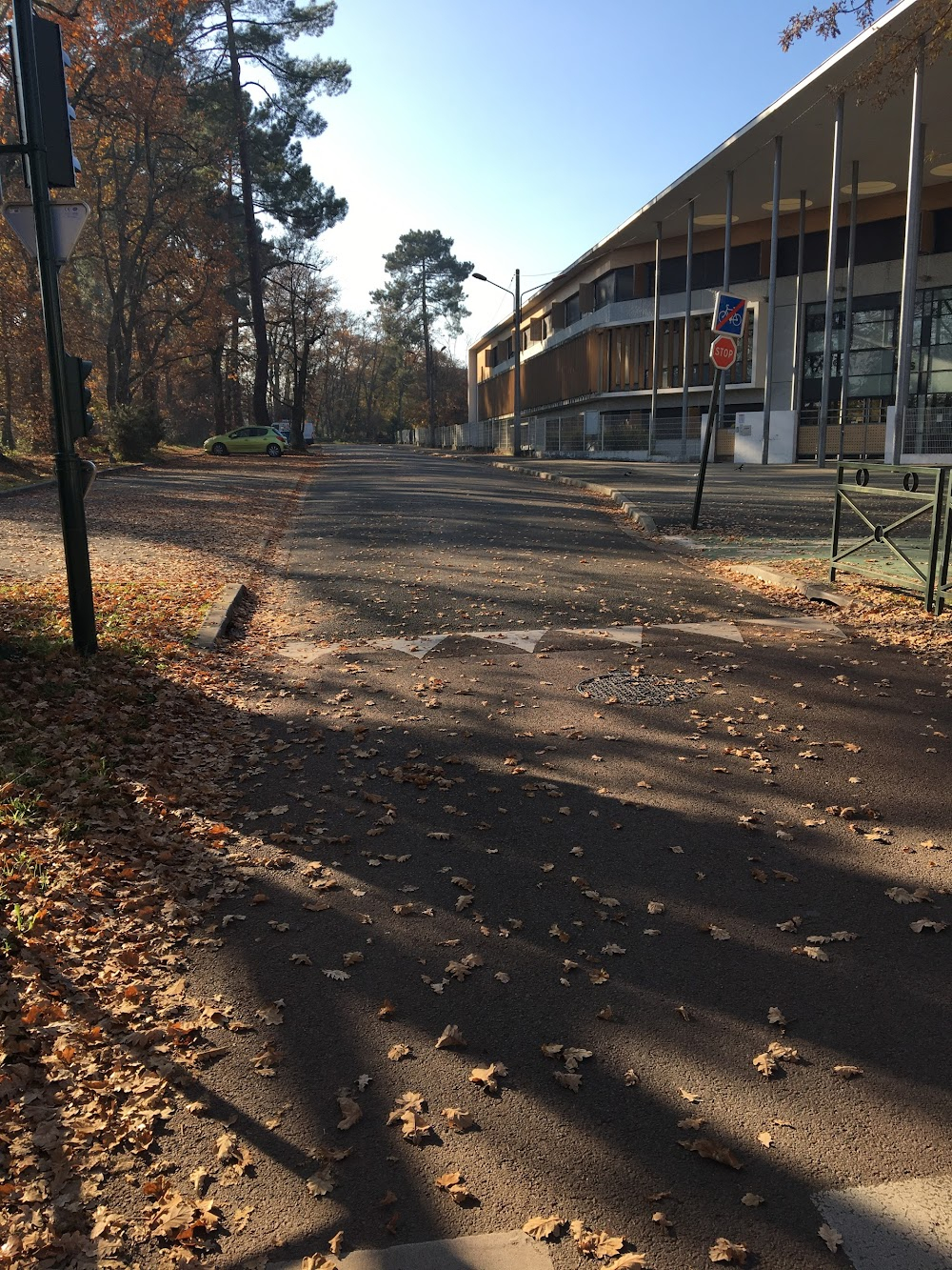 Le règne animal : high school exteriors