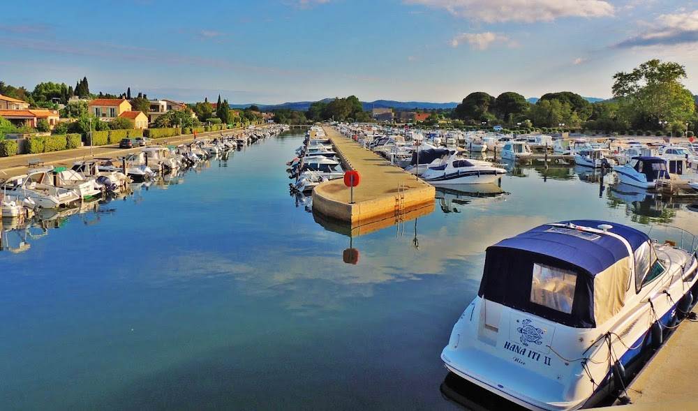 Le sang des îles d'or : 