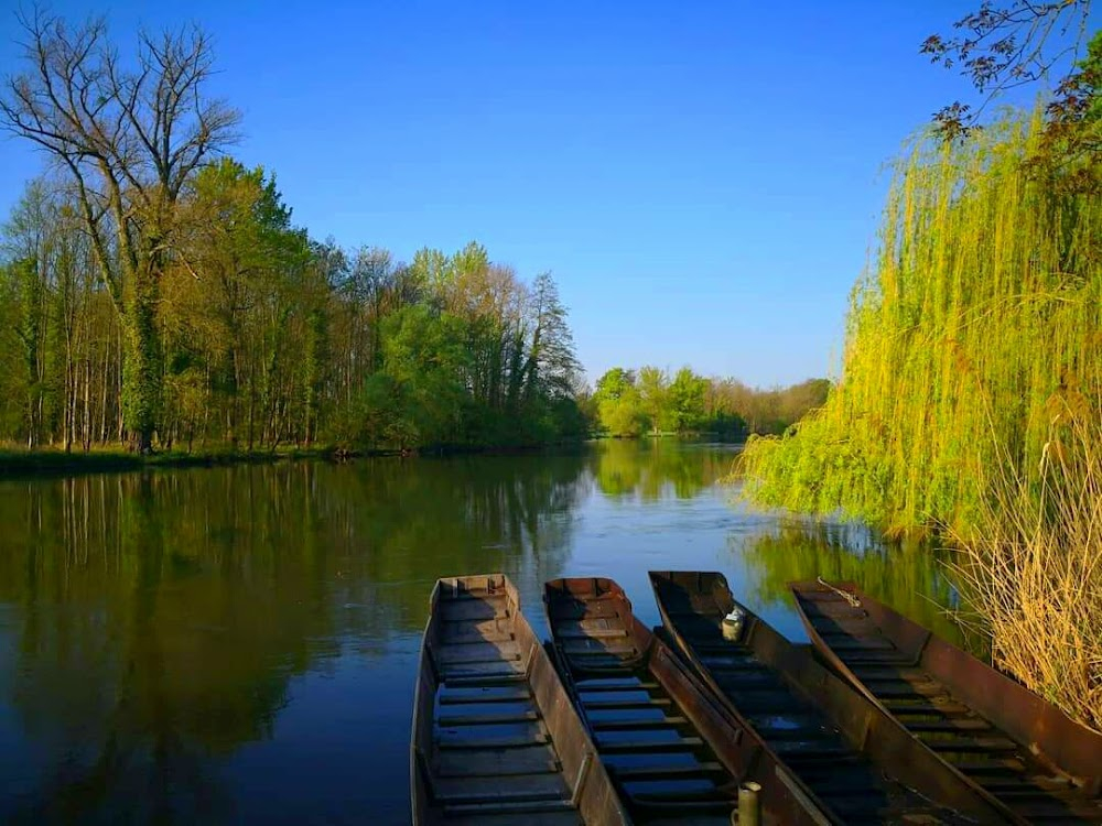 Charon : Lake