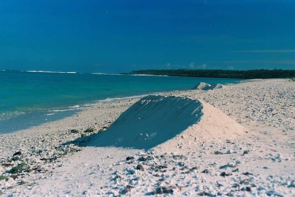 Kau Faito'o: Traditional Healers of Tonga : 