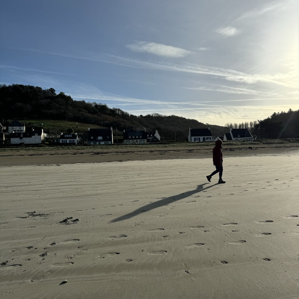 Les algues vertes : green algae-infested beach