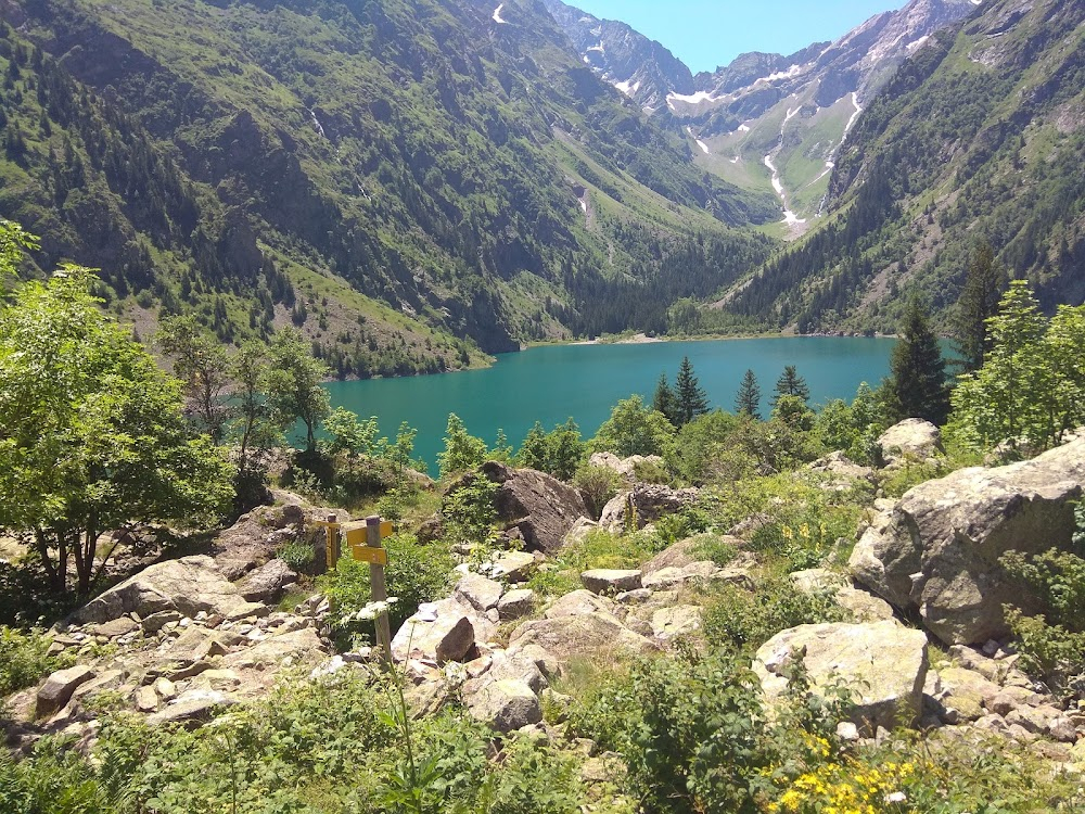 Debout sur la montagne : 