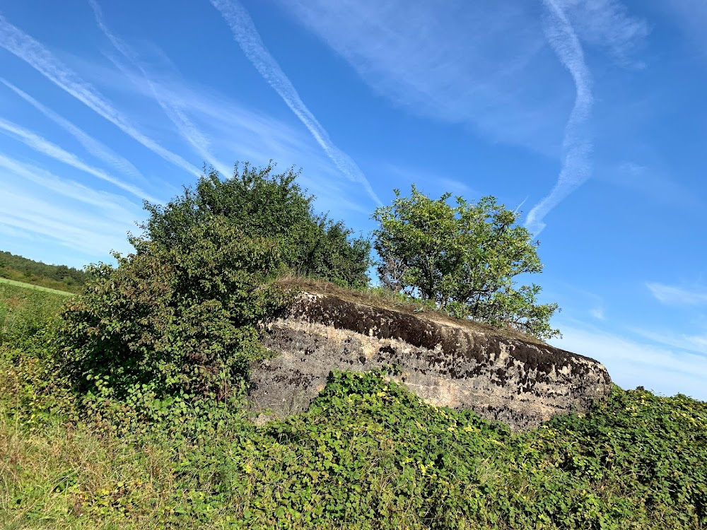 Les croix de bois : battle, trenches