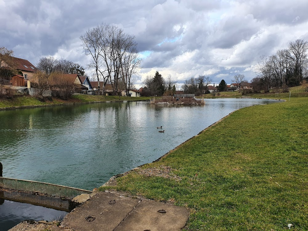 Les fragments d'Antonin : trenches