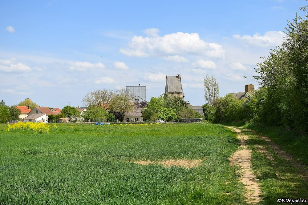 Les glaneurs et la glaneuse... deux ans après : 