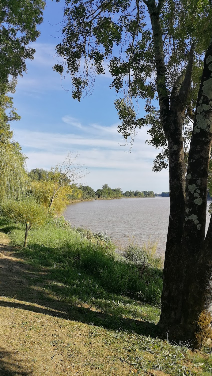 Les rivières pourpres : season 4