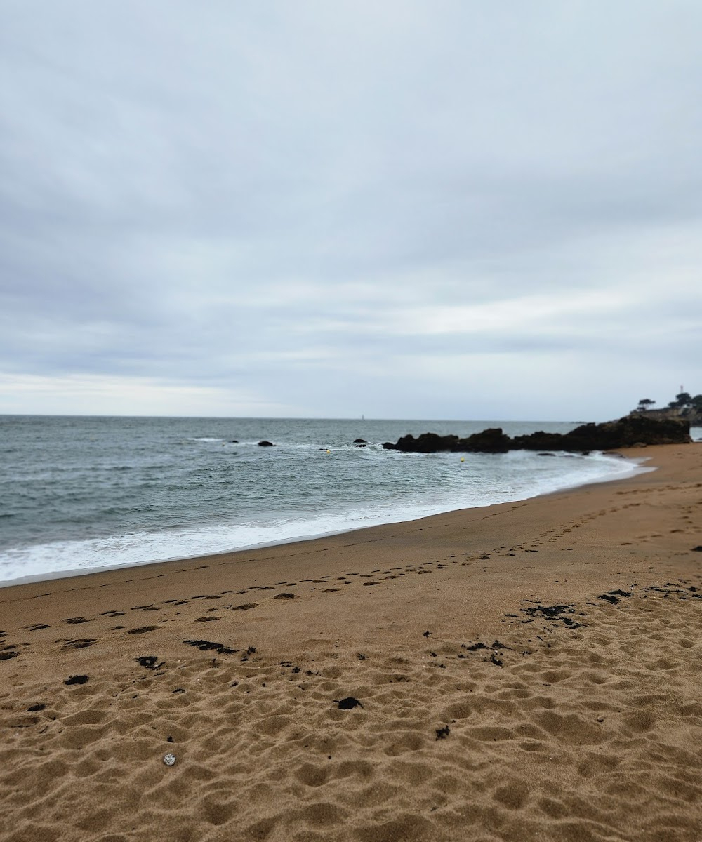 Les rencontres d'après minuit : beach