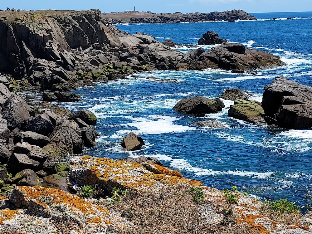 La peau trouée : 