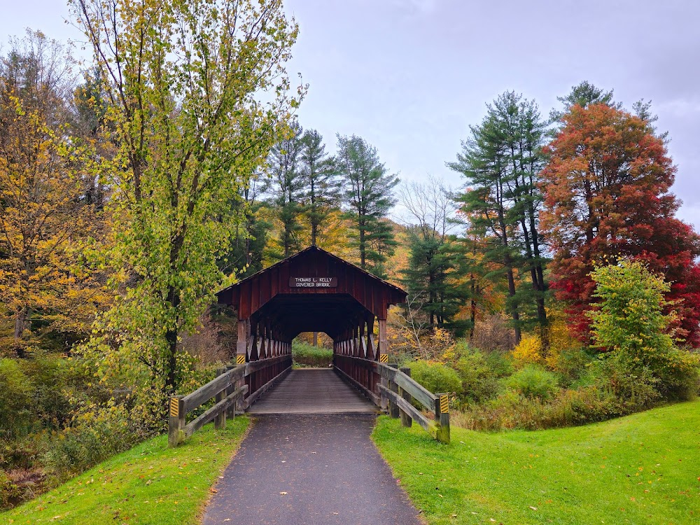 Let Them Have Their Way : Beautiful forest backdrops