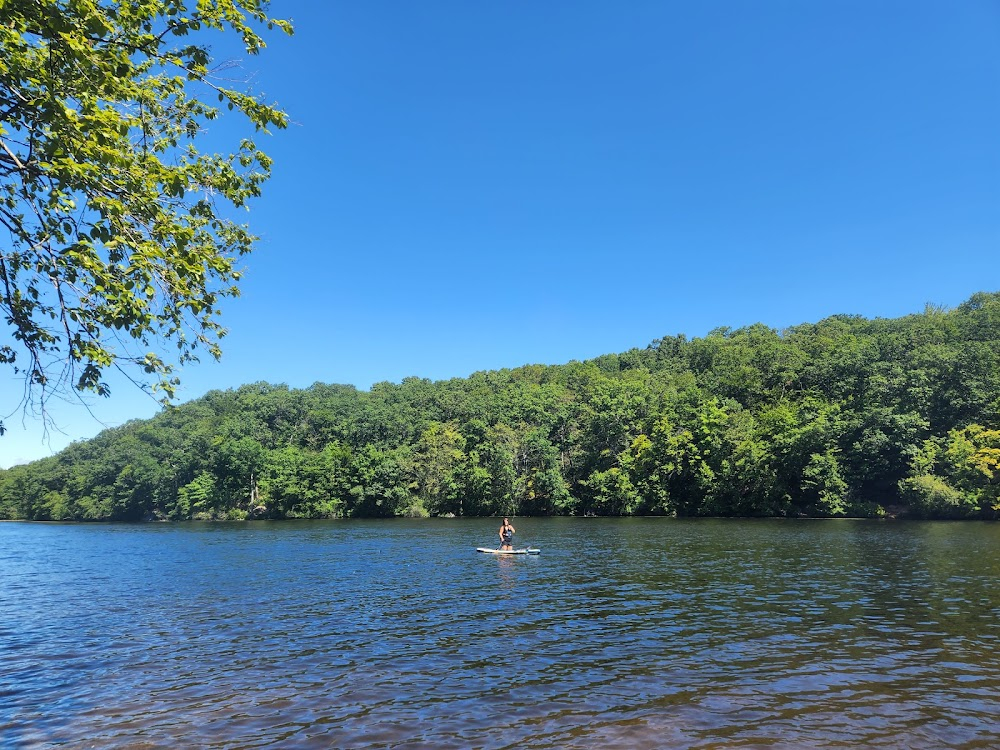 Let's Scare Jessica to Death : swimming cove