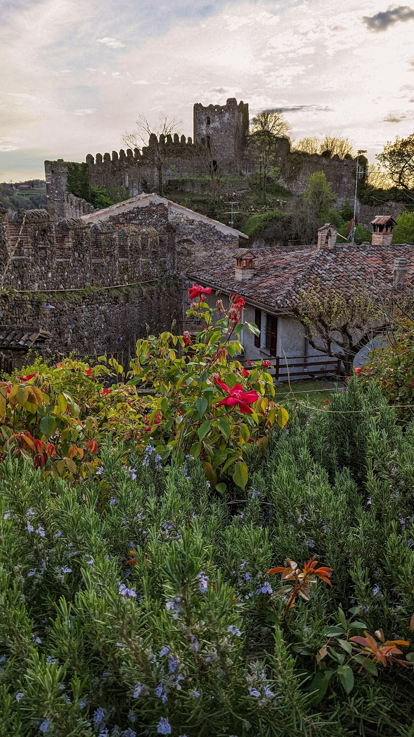 Limonata e l'immortalità dell'anima : 