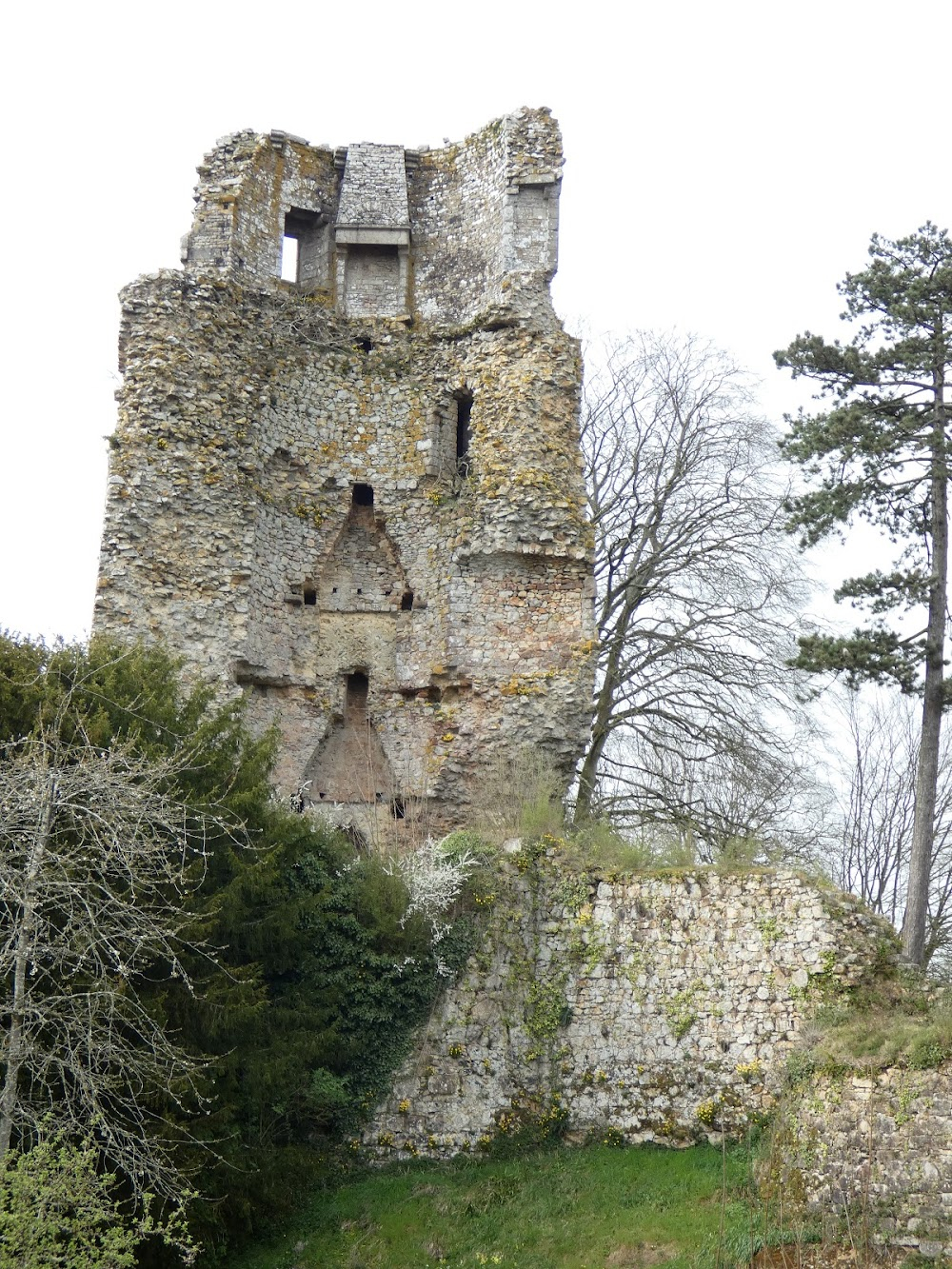 L'Inconnu de Brocéliande : 