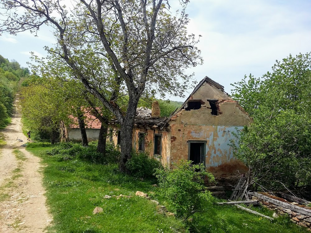 Lindenfeld 1994 : village