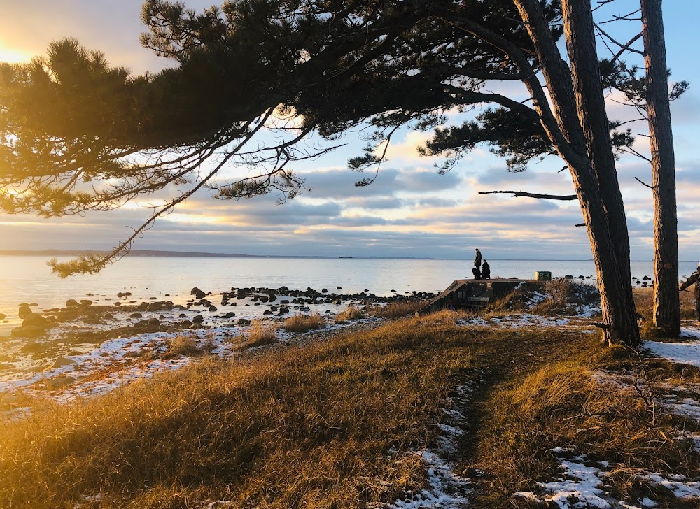 Löjtnantshjärtan : "Bankeberga"