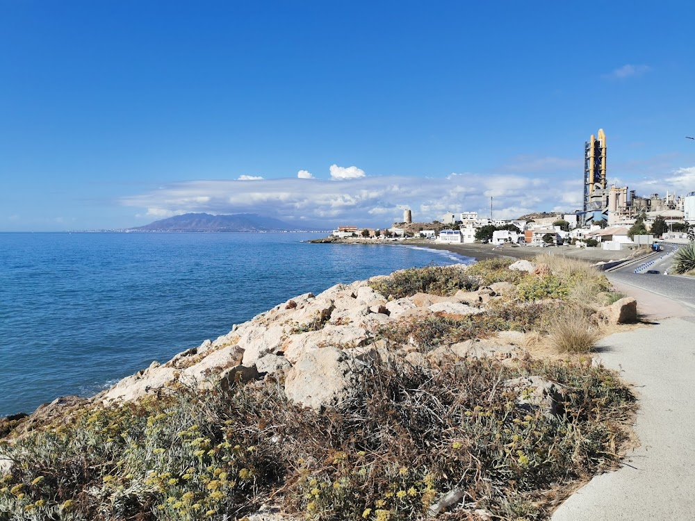 Osito (Teddy) : Málaga, Spain