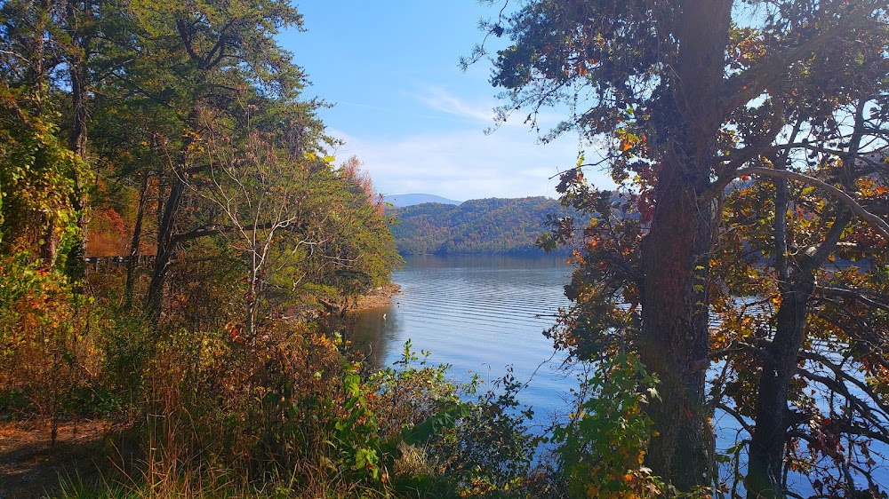 Love in the Great Smoky Mountains: A National Park Romance : Airbnb cabin