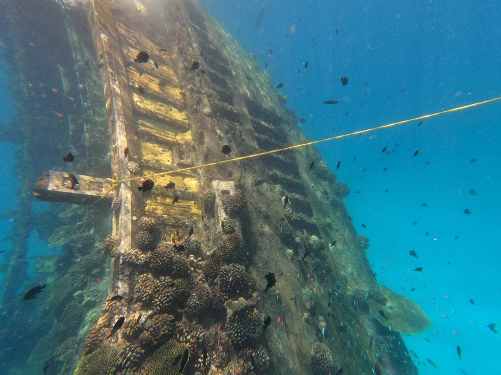 Love in the Maldives : shipwreck