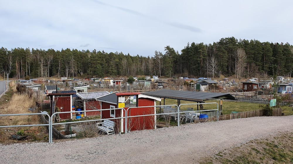 Lysande landning : as Lindarängen airport