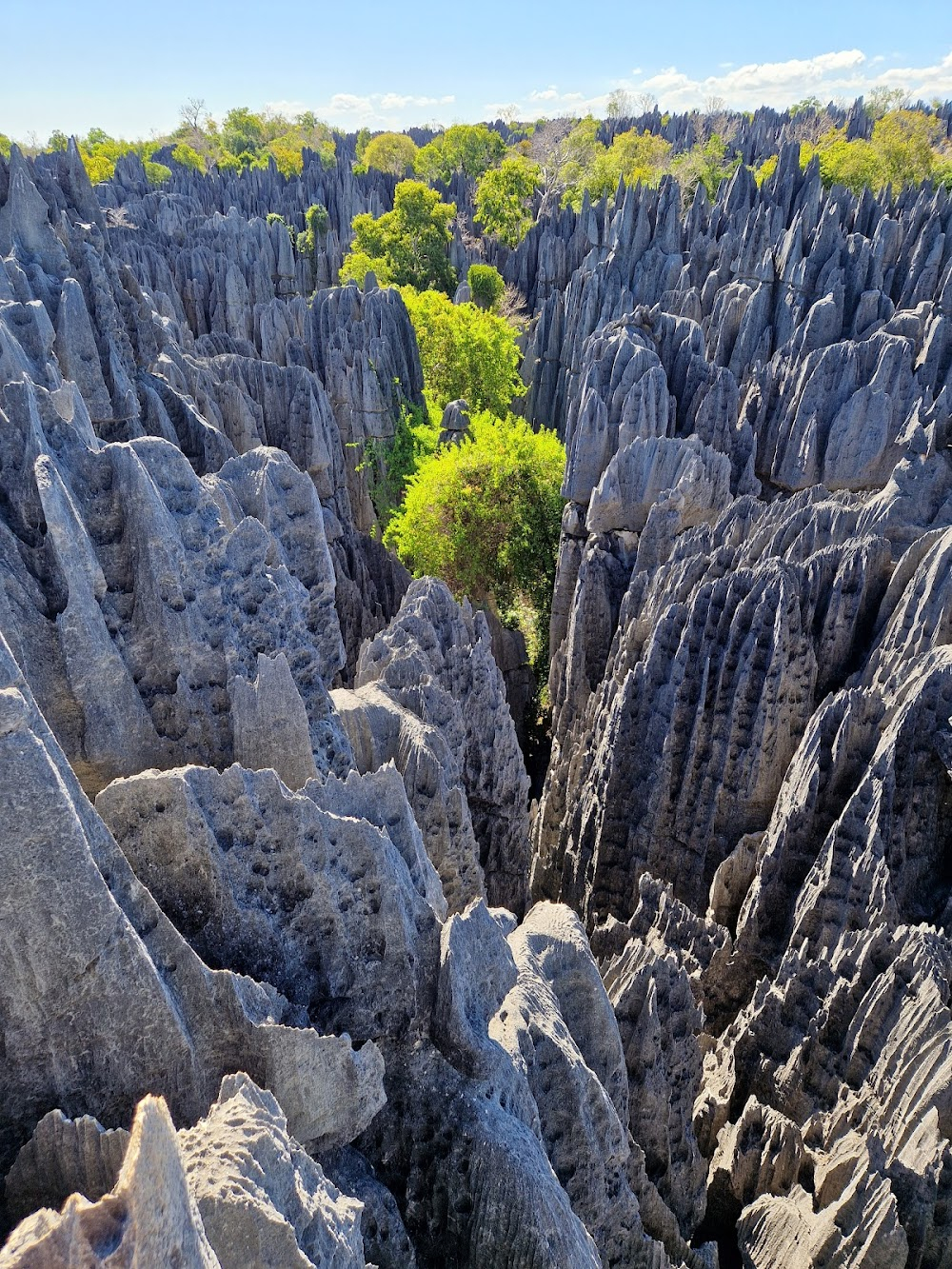 Madagascar Weirdest : location