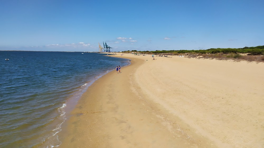 Pasión en el mar : 