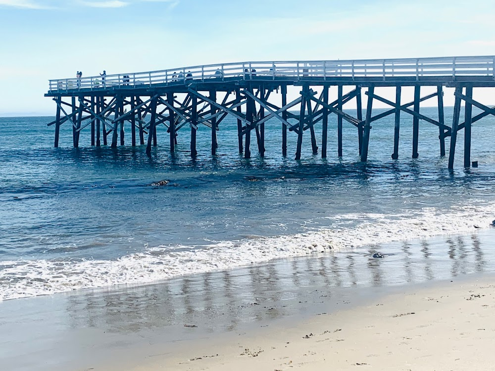 Malibu Beach : location: 75% of the movie takes place here