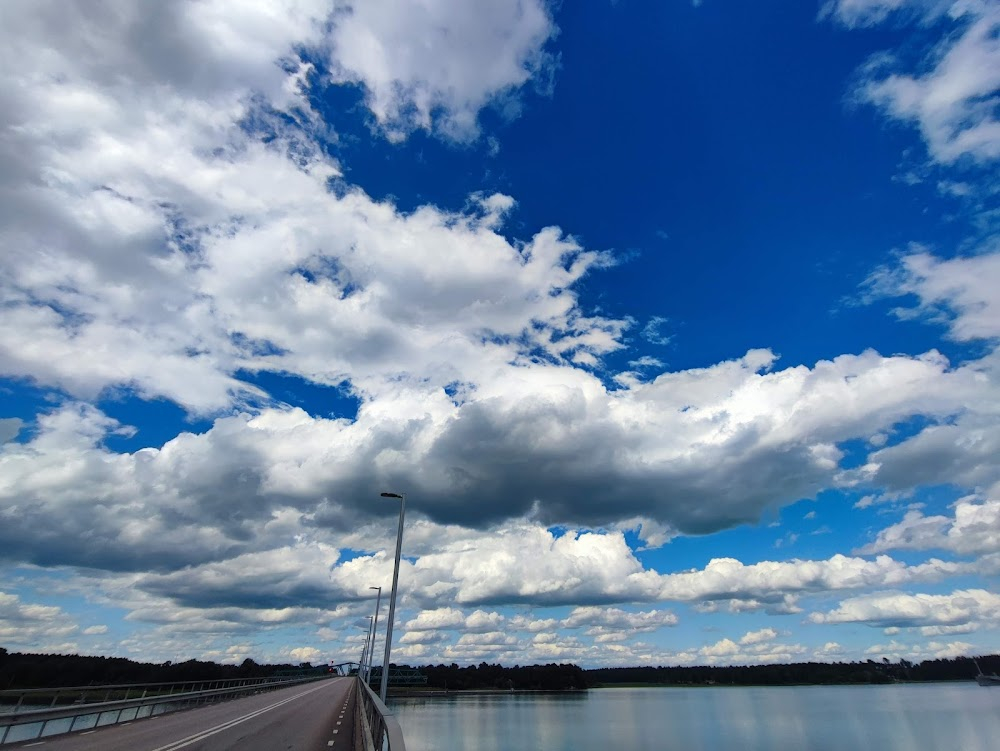 Män som hatar kvinnor : Bridge Scenes