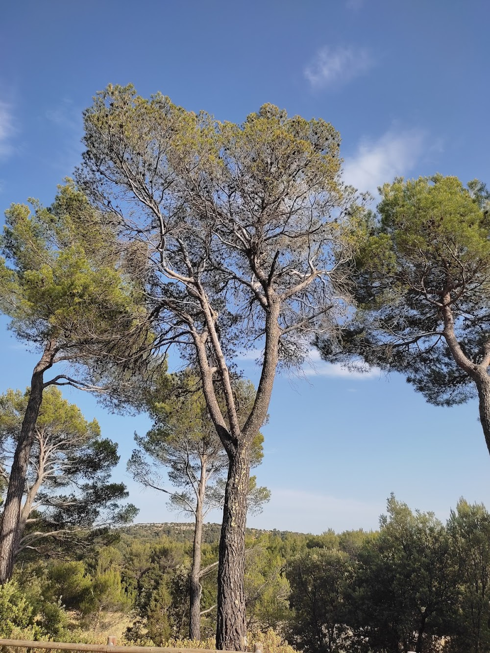 Jean de Florette : Jean de Florette's house