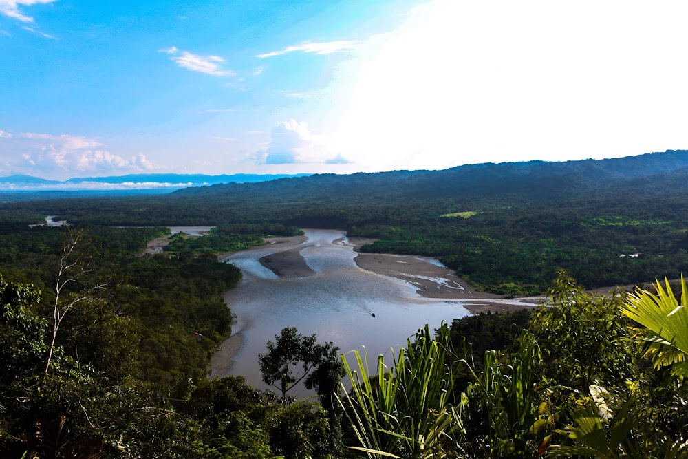 Manu: Peru's Hidden Rain Forest : 