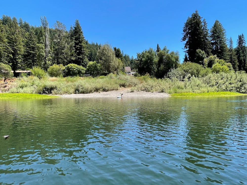 The Sullivans : swimming hole