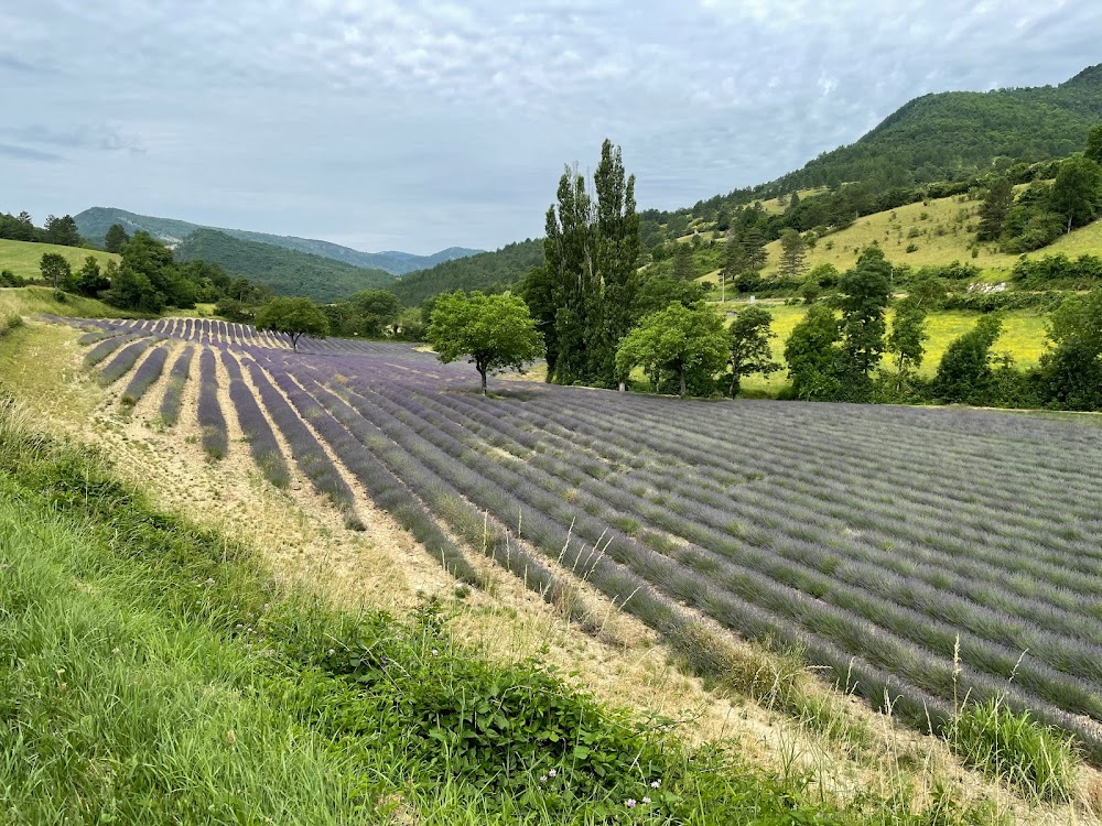 Marche ou crève : 