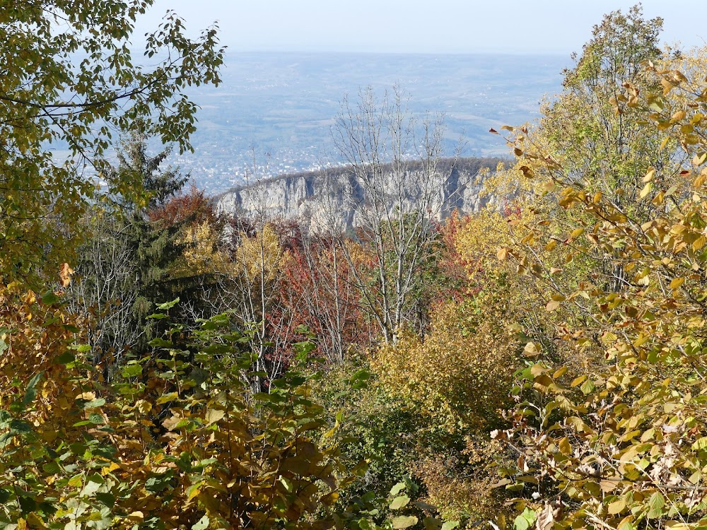 Marche ou crève : 