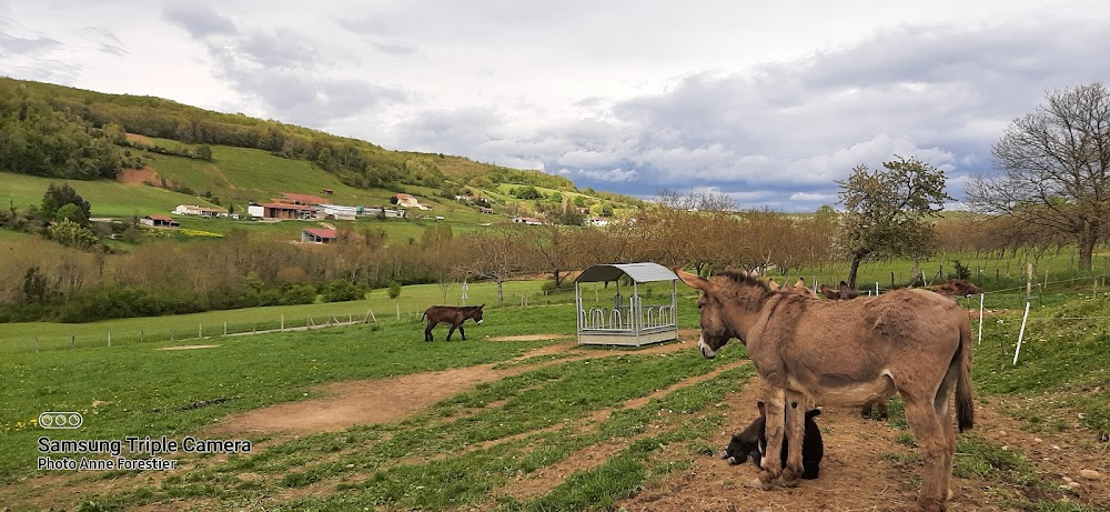 Marche ou crève : 