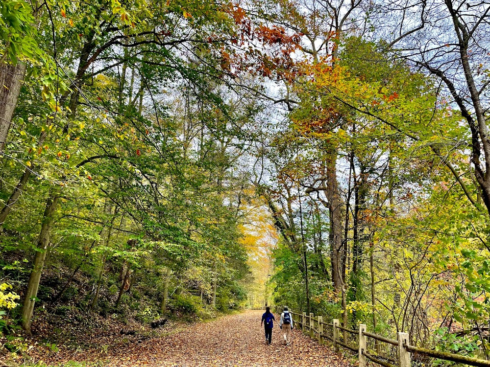 Mare of Easttown : Sharp's Woods, Creedham Creek, Lehigh River