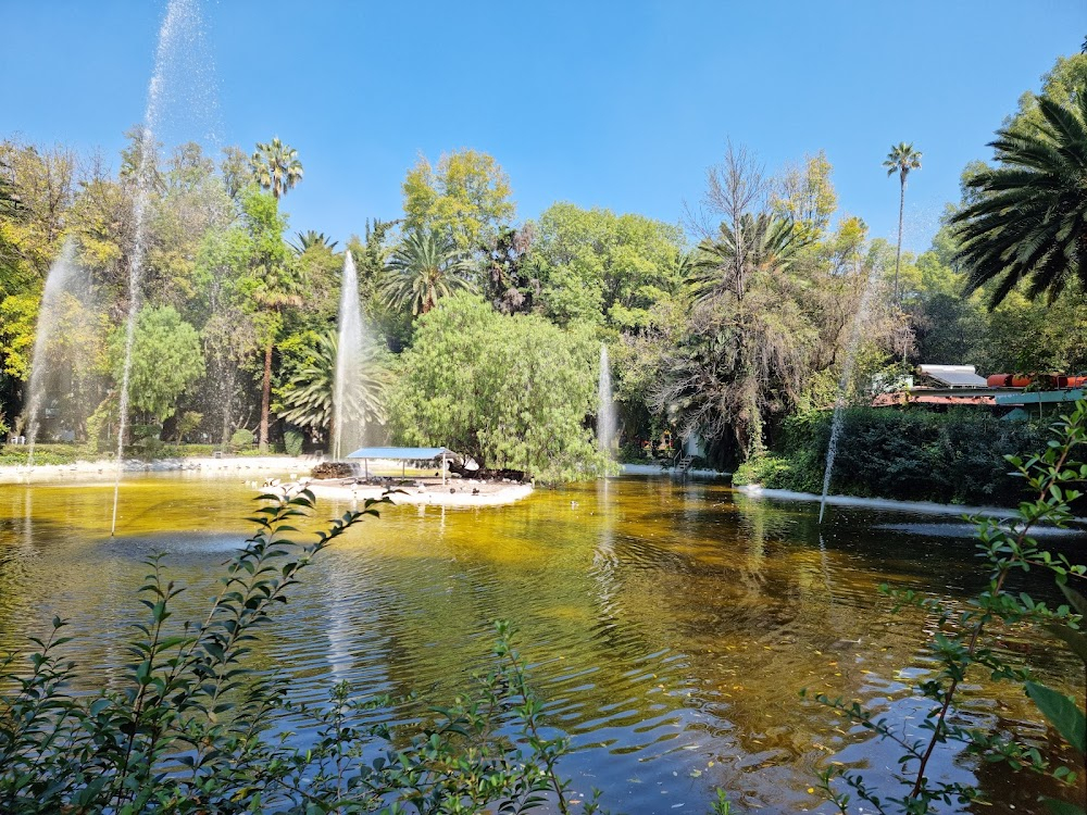 María la del barrio : Daniel Ordoñez's Local Park