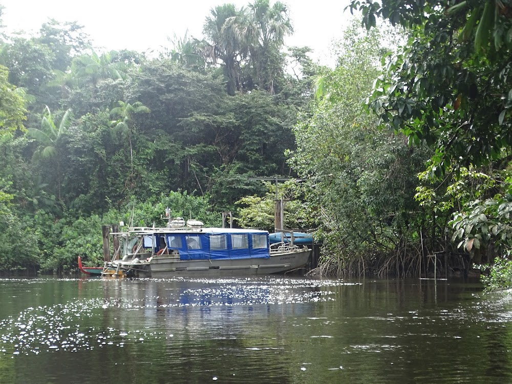 Maroni : house in the jungle