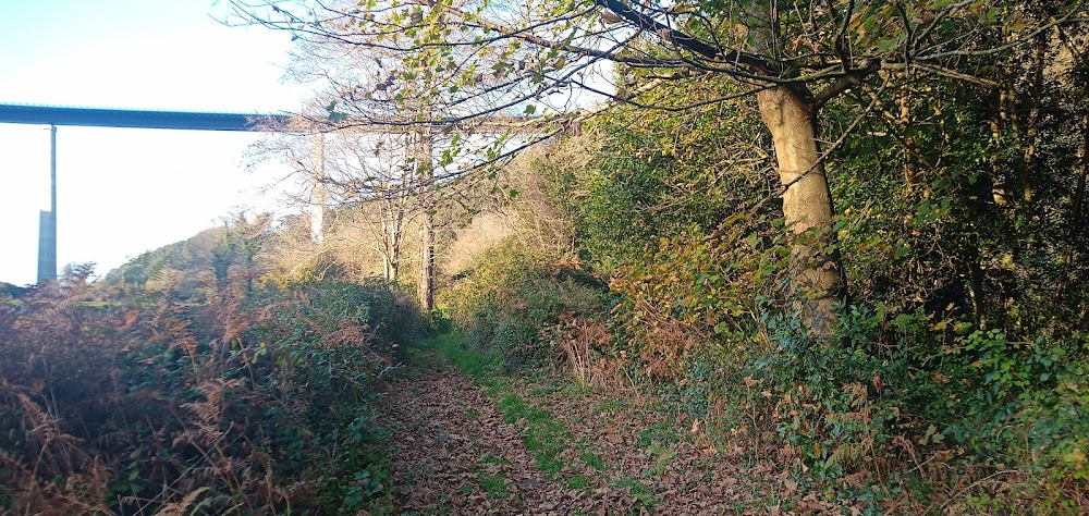 Marrowbone : Railway Viaduct