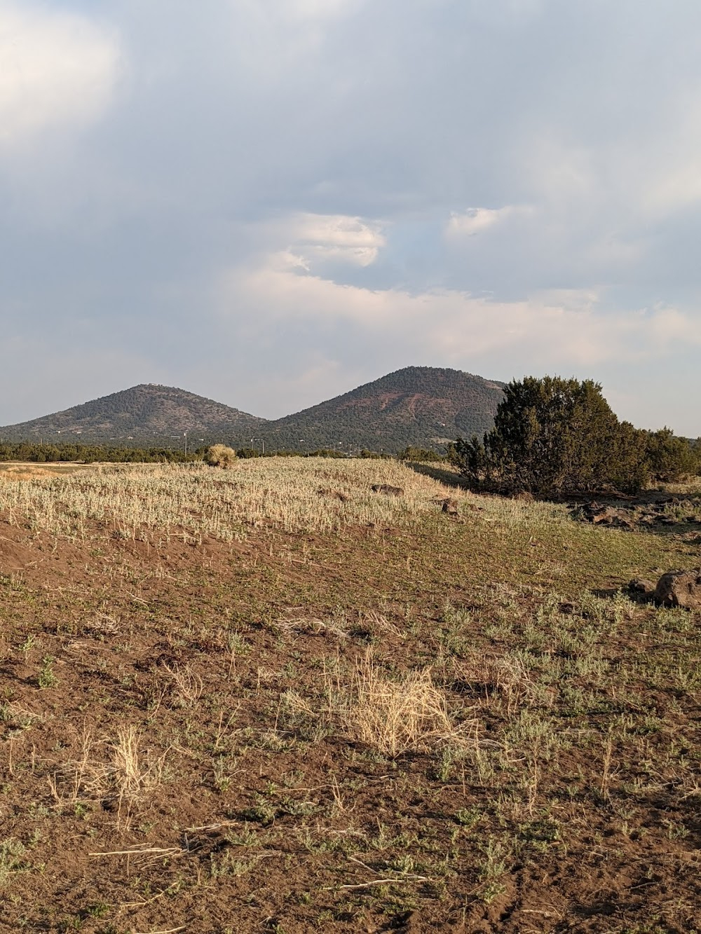 Wild Horse Mesa : Photograph