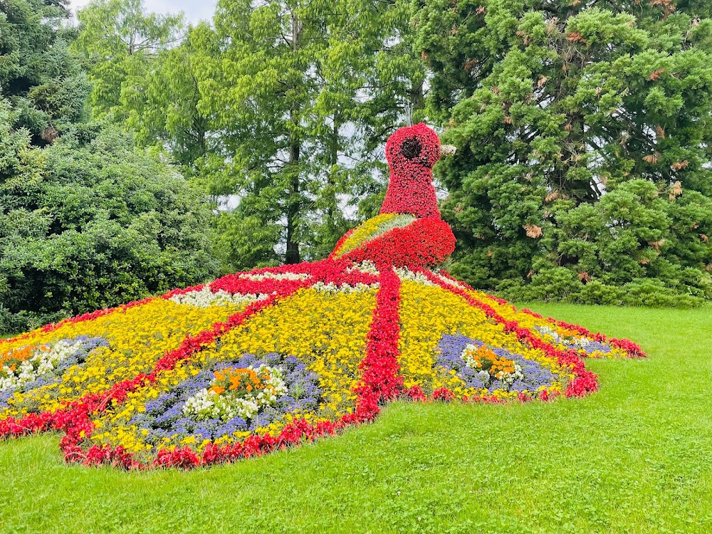 Was eine Frau im Frühling träumt : 