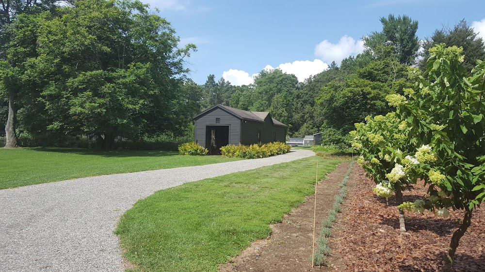 Martha Marcy May Marlene : farm