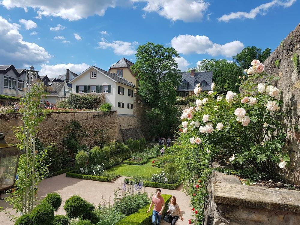 Ich hab' mein Herz in Heidelberg verloren : 