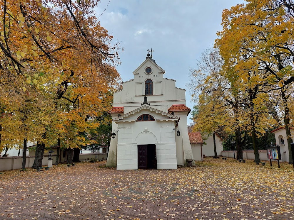 Matka Teresa od kotów : 