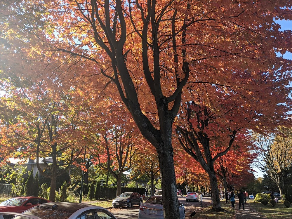 Meditation Park : neighborhood park